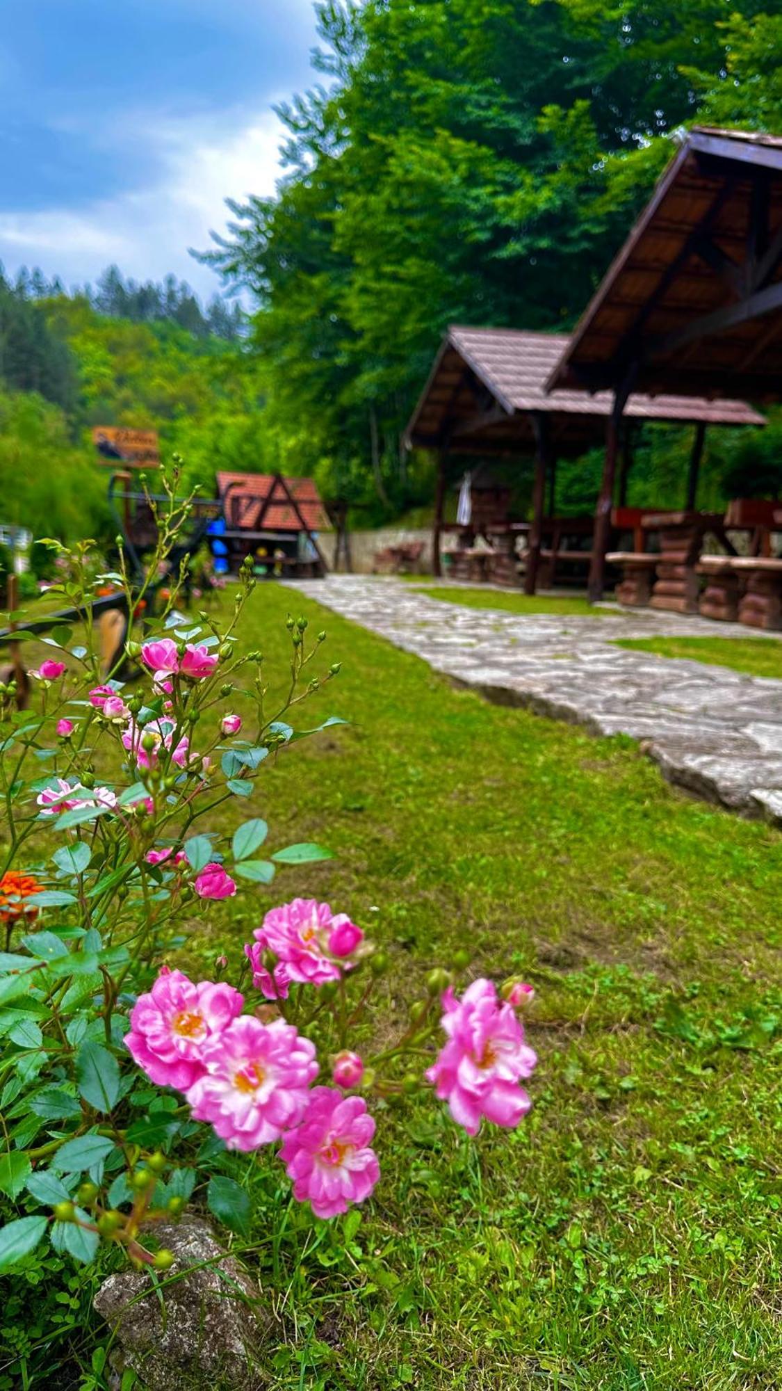 Motel Stovrela Казін Екстер'єр фото
